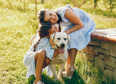 Wanpy — Healthy, Happy Pet Food | Natural Ingredients & Trusted Quality