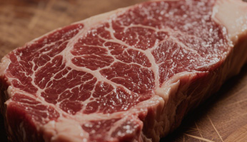 Our Nutritional Philosophy — Science-Backed Pet Nutrition at Wanpy