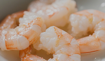 Our Nutritional Philosophy — Science-Backed Pet Nutrition at Wanpy