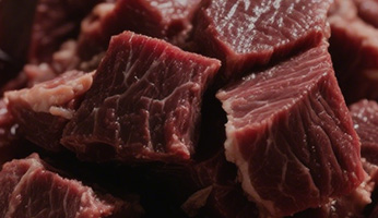 Our Nutritional Philosophy — Science-Backed Pet Nutrition at Wanpy