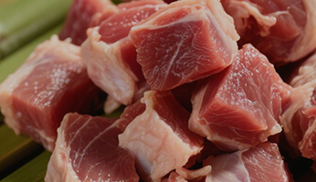 Our Nutritional Philosophy — Science-Backed Pet Nutrition at Wanpy