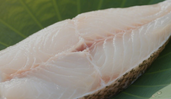 Our Nutritional Philosophy — Science-Backed Pet Nutrition at Wanpy