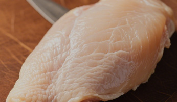 Our Nutritional Philosophy — Science-Backed Pet Nutrition at Wanpy