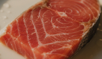 Our Nutritional Philosophy — Science-Backed Pet Nutrition at Wanpy