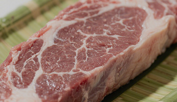 Our Nutritional Philosophy — Science-Backed Pet Nutrition at Wanpy