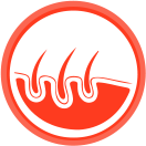 Duck Jerky Treats for Dogs | Wanpy