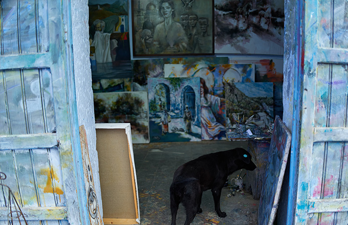 Our Story — Wanpy’s History, Mission & Commitment to Pets