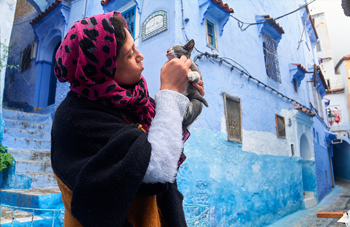 Our Story — Wanpy’s History, Mission & Commitment to Pets