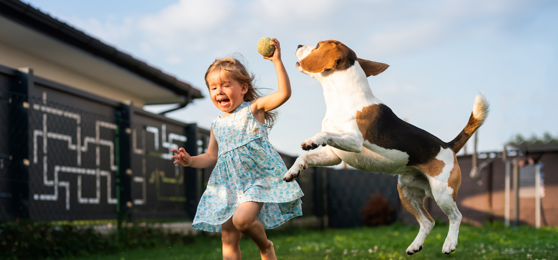 From Source to Bowl — Wanpy Ingredient Traceability & Safety