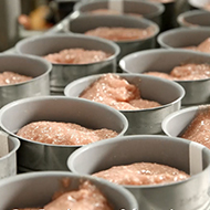 Wanpy — Healthy, Happy Pet Food | Natural Ingredients & Trusted Quality