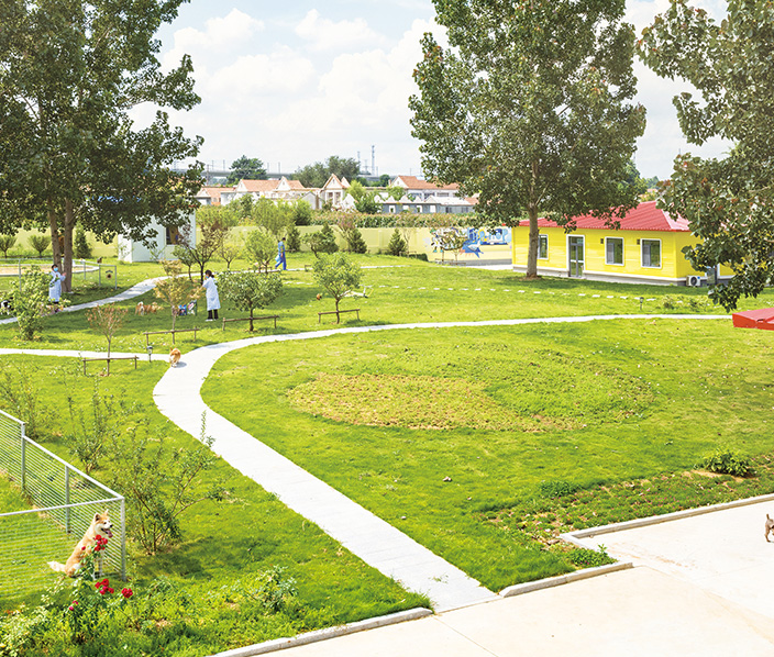 Pet Nutrition & Health Research Laboratory — Wanpy Research & Trials