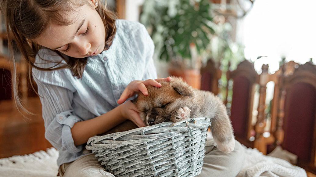 First-Time Puppy Parent ? Here&#039;s What the First Month Really Looks Like