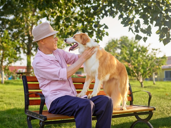 Our Story — Wanpy’s History, Mission & Commitment to Pets