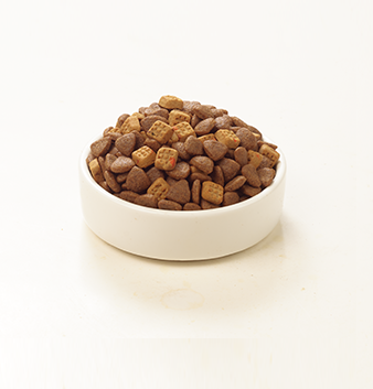 WANPY Grain Free Complete Food For Adult Dog  Beef Recipe