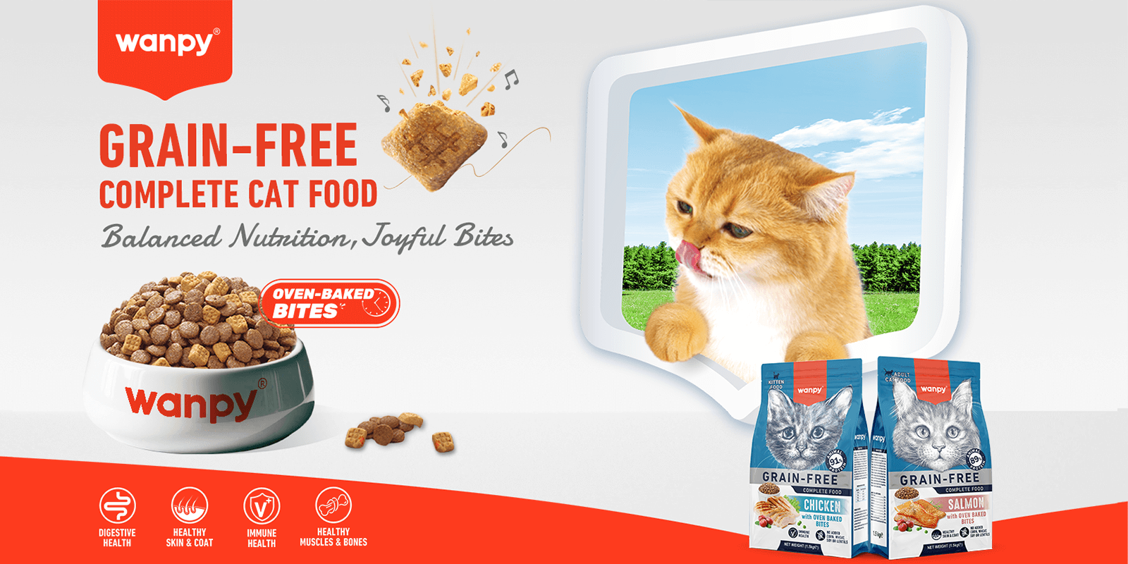 Grain-Free Complete Food for Adult Cat Chicken Recipe | Wanpy