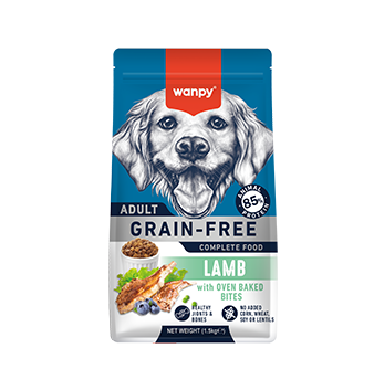 WANPY Grain Free Complete Food For Adult Dog Lamb Recipe