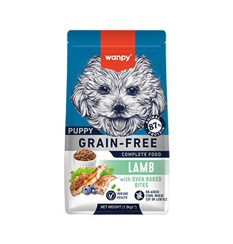 WANPY Grain Free Complete Food For Puppy Lamb Recipe