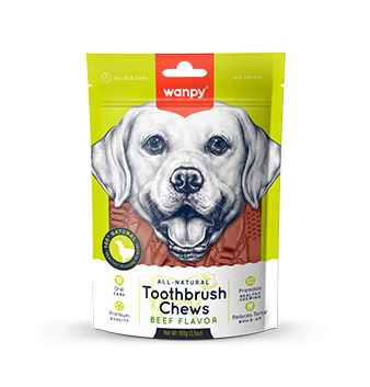 Toothbrush Chews (Beef Flavor)