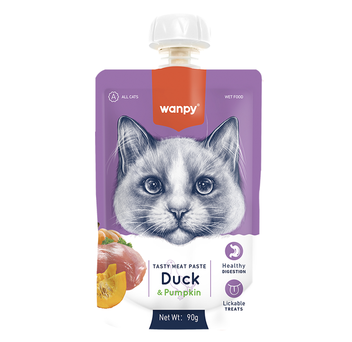 RAC-39 duck with pumpkin.png