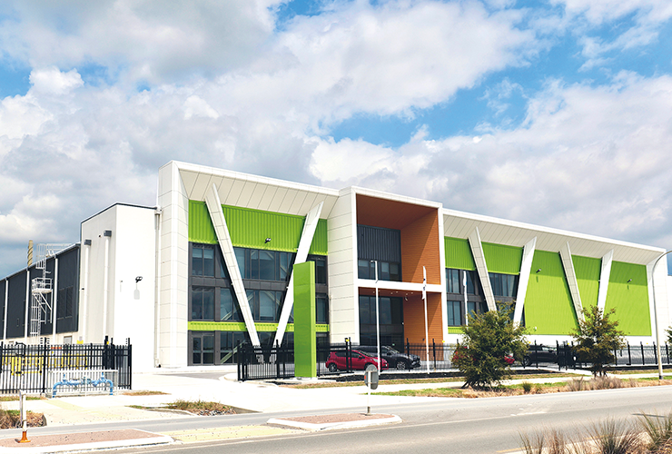 Our Story — Wanpy’s History, Mission & Commitment to Pets