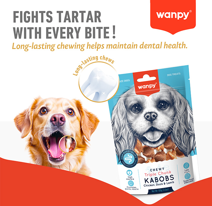 糖葫芦 洁齿功效小图 拷贝.jpg