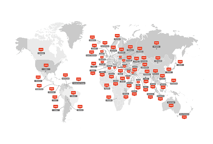 Our Story — Wanpy’s History, Mission & Commitment to Pets