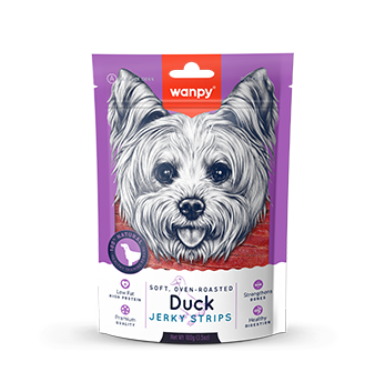 Soft Duck Jerky Strips