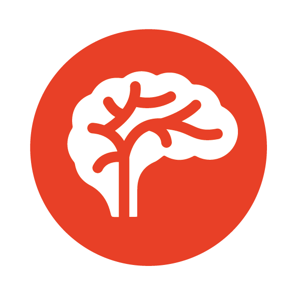 Chicken Jerky & Codfish Sushi for Cats | Wanpy