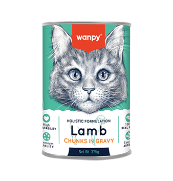 WANPY Chunks In Gravy Canned Food For Cat Lamb 