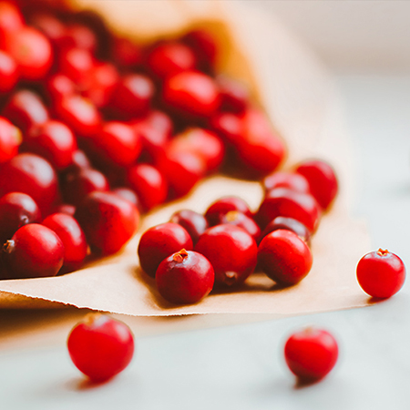 Grain-Free Complete Food for Adult Cat Chicken Recipe | Wanpy