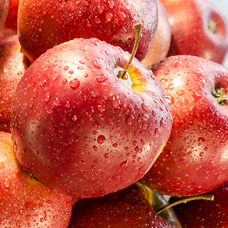 Dog Cookies Apple Flavor