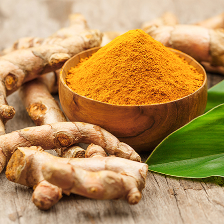 Grain-Free Complete Food for Adult Dog Beef Recipe | Wanpy