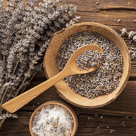 Grain-Free Complete Food for Adult Cat Chicken Recipe | Wanpy