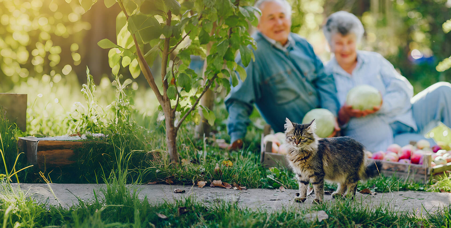 Wanpy — Healthy, Happy Pet Food | Natural Ingredients & Trusted Quality