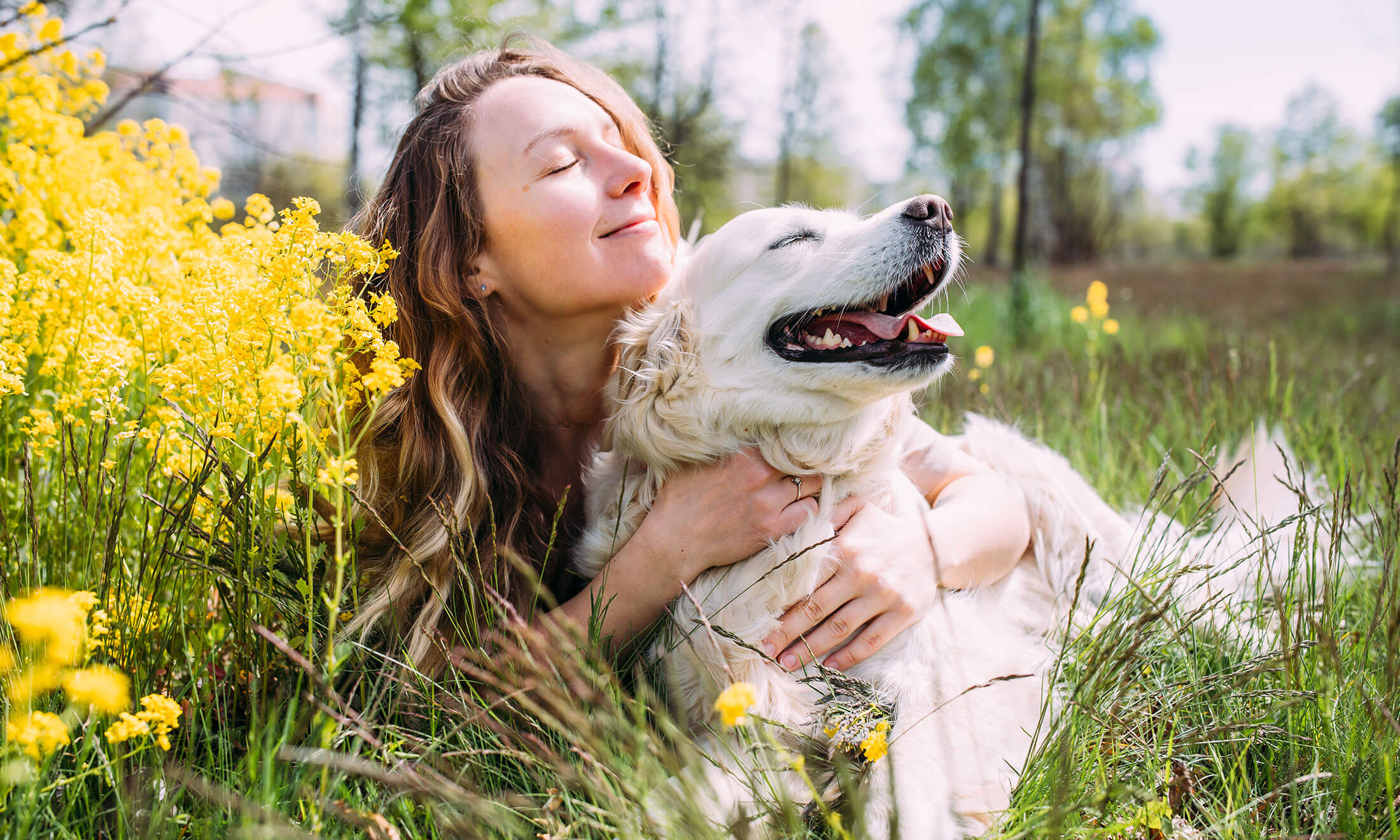 Wanpy — Healthy, Happy Pet Food | Natural Ingredients & Trusted Quality