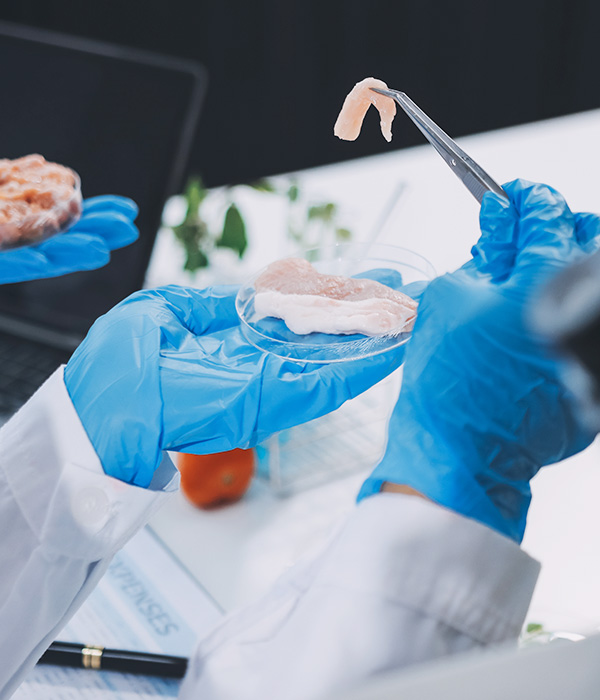 From Source to Bowl — Wanpy Ingredient Traceability & Safety