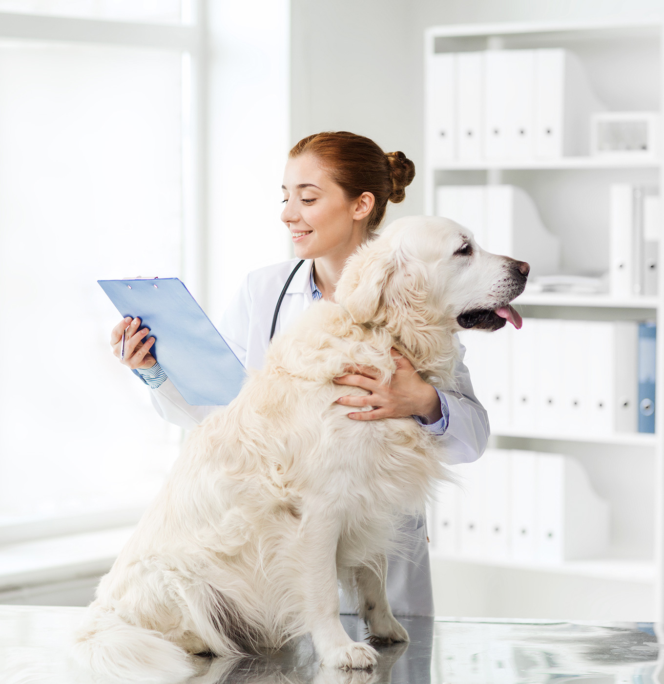 Pet Nutrition & Health Research Laboratory — Wanpy Research & Trials