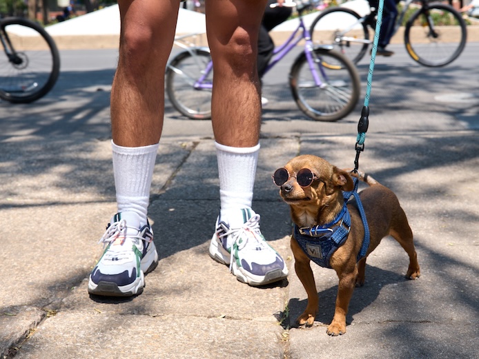 Our Story — Wanpy’s History, Mission & Commitment to Pets