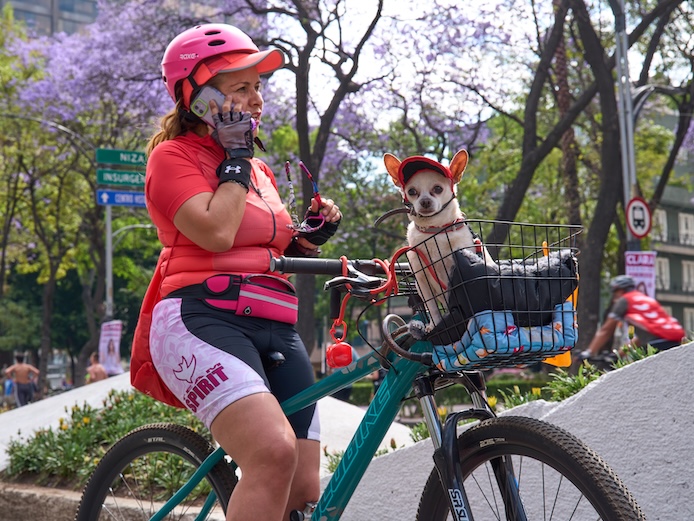 Our Story — Wanpy’s History, Mission & Commitment to Pets