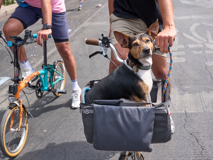 Our Story — Wanpy’s History, Mission & Commitment to Pets