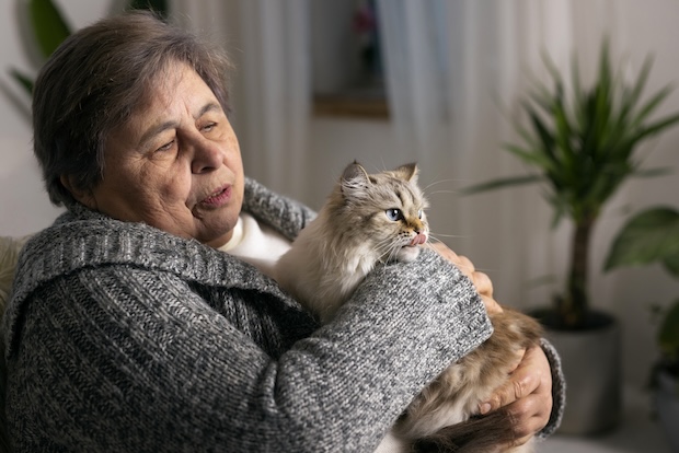 Cat Health and Aging: What You Need to Know