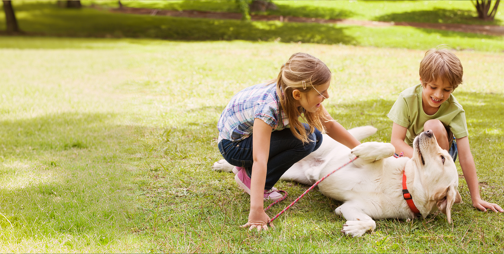 Wanpy — Healthy, Happy Pet Food | Natural Ingredients & Trusted Quality