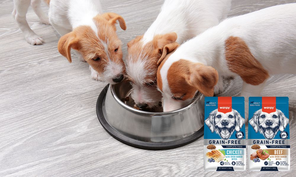 Wanpy — Healthy, Happy Pet Food | Natural Ingredients & Trusted Quality