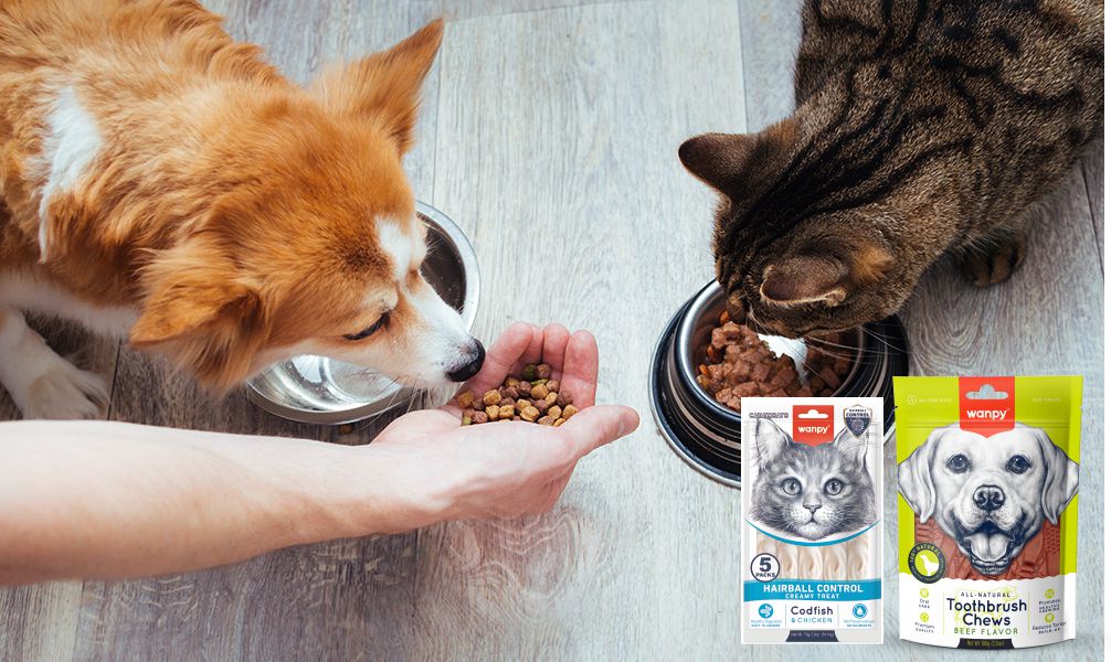 Wanpy — Healthy, Happy Pet Food | Natural Ingredients & Trusted Quality