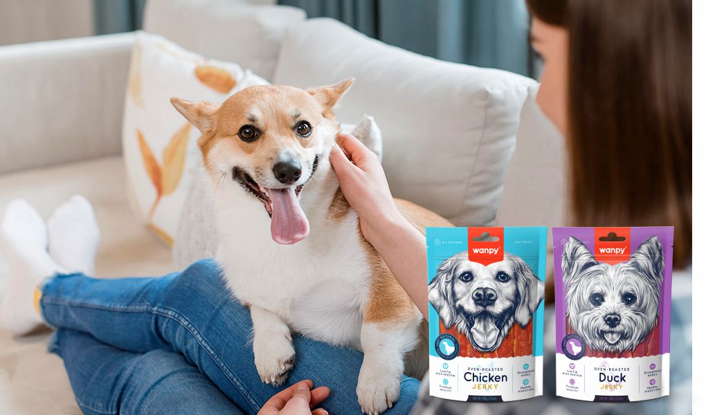 Wanpy — Healthy, Happy Pet Food | Natural Ingredients & Trusted Quality