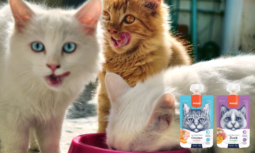 Wanpy — Healthy, Happy Pet Food | Natural Ingredients & Trusted Quality