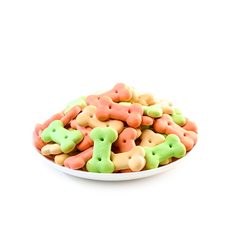Dog Biscuits Bone