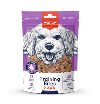 Training Bites Duck Recipe