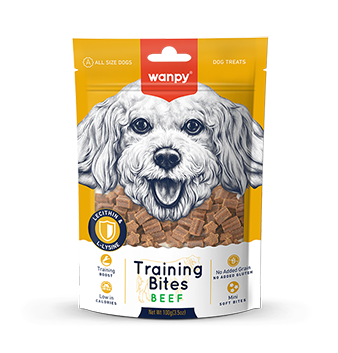 Training Bites Beef Recipe