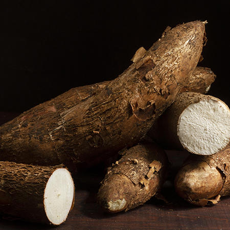 Training Bites Chicken Recipe